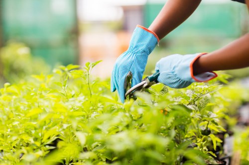 Gardener inspecting a garden bed