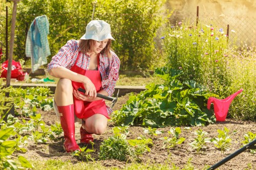 Gardeners Notting Hill team at work on a garden lawn