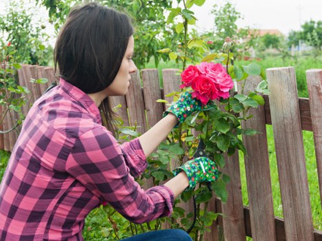 Client pointing out an area in the garden to a gardener