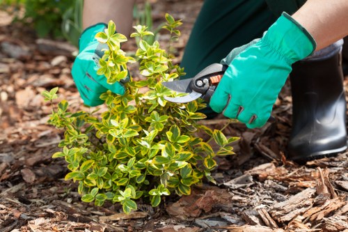 Innovative garden design by Notting Hill gardeners