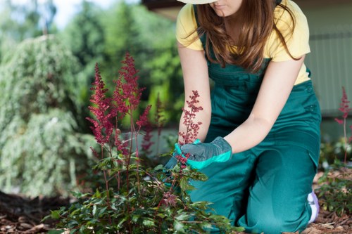 Local Notting Hill gardener at work in a lush garden